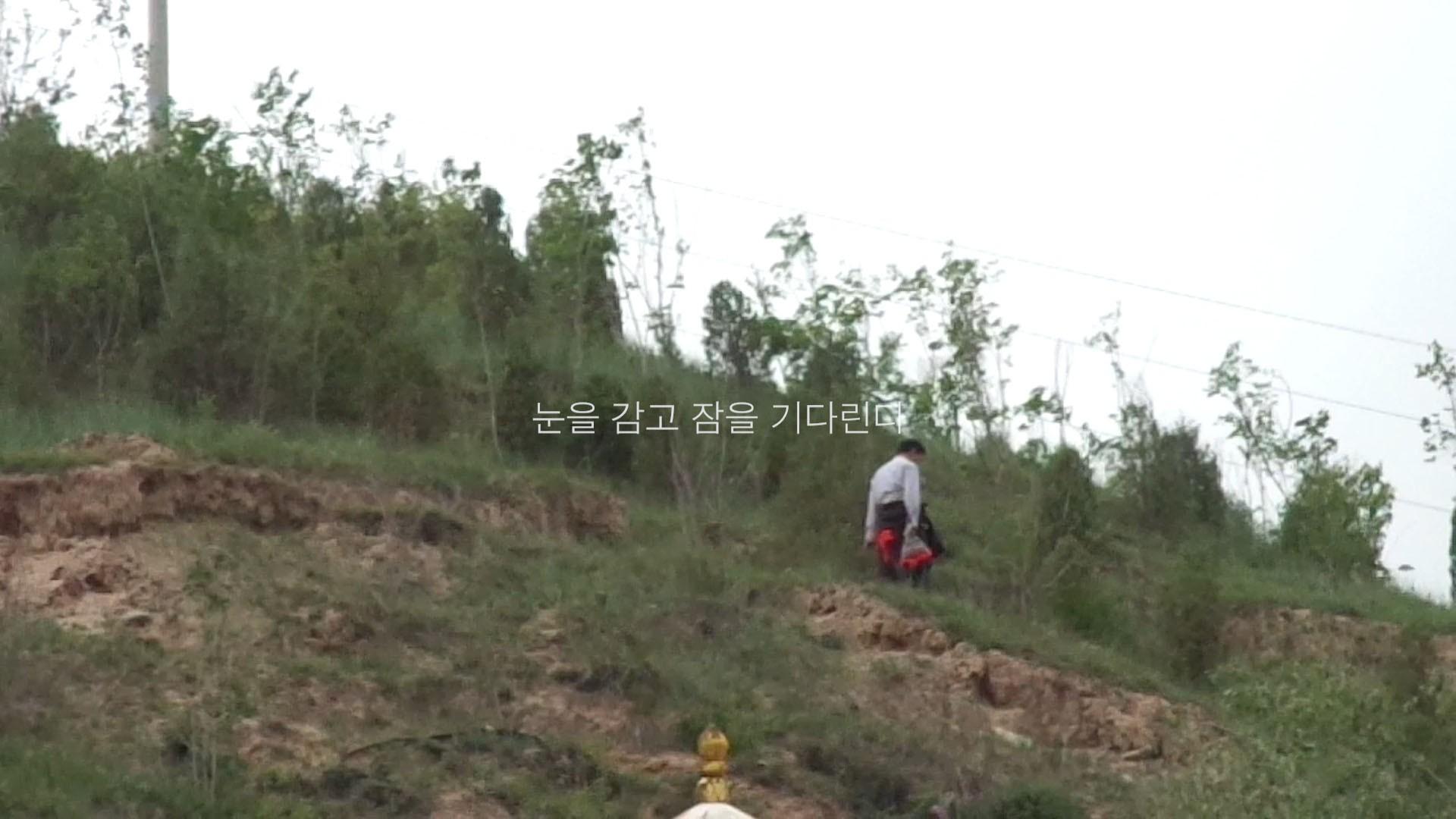 고양이는 자는 척을 할까
