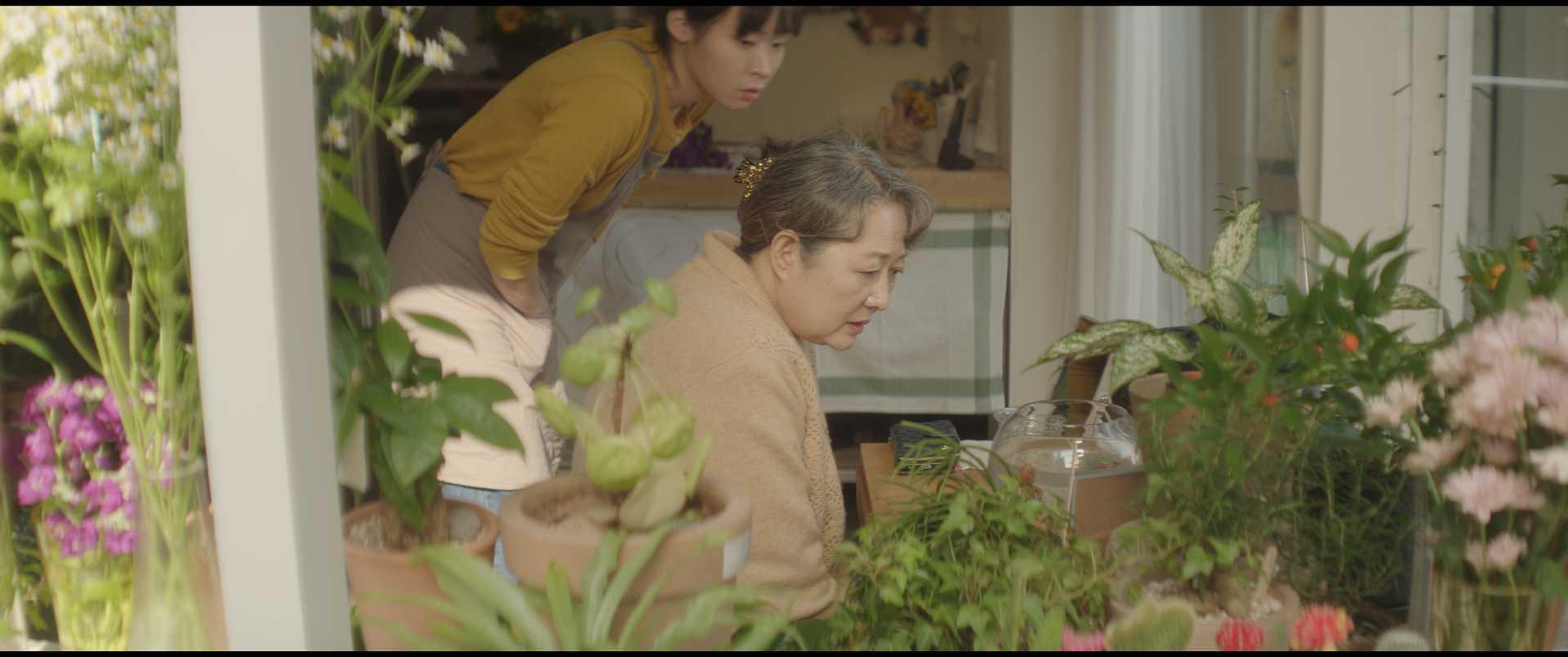 일기 예보