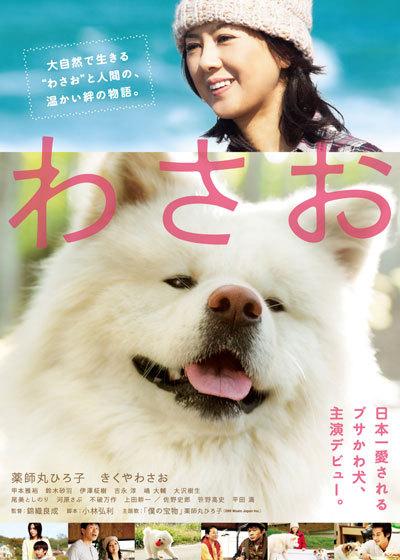 내 친구 와사오