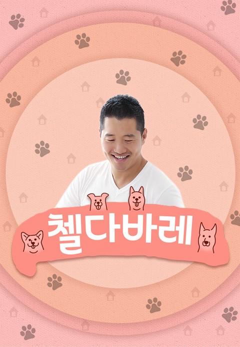 첼다바레