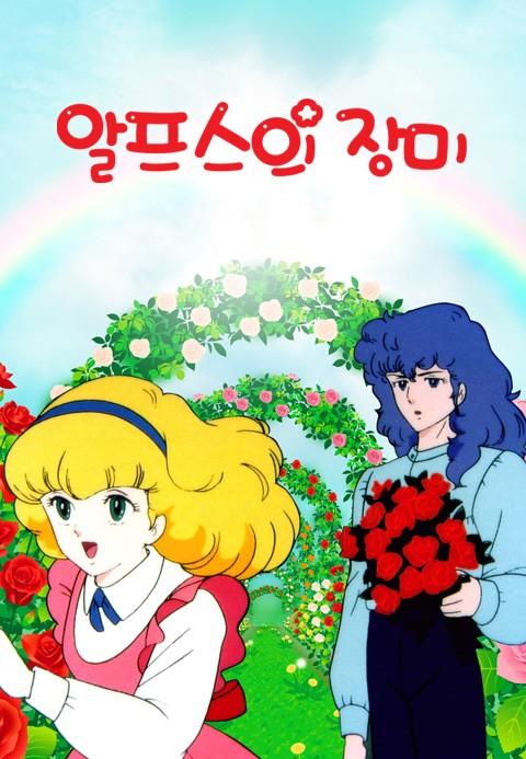알프스의 장미