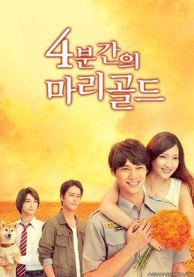 4분간의 마리골드