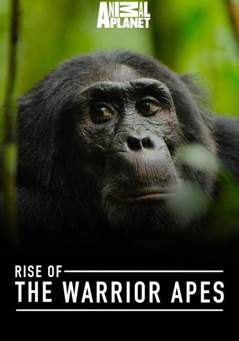 전사 유인원들의 진화