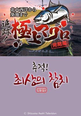 추적! 최상의 참치 완결편