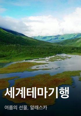 세계테마기행 - 여름의 선물, 알래스카