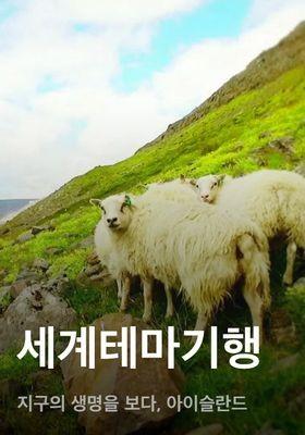 세계테마기행 - 지구의 생명을 보다, 아이슬란드