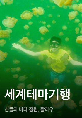 세계테마기행 - 신들의 바다 정원, 팔라우