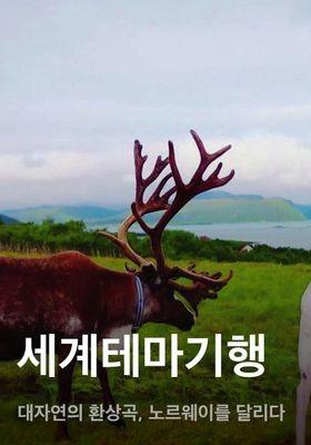 세계테마기행 - 대자연의 환상곡, 노르웨이를 달리다