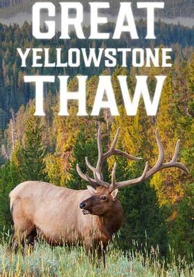 3색 계절, 옐로스톤 국립공원