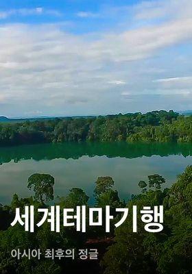세계테마기행 - 아시아 최후의 정글