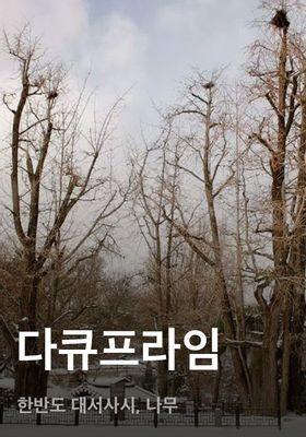 다큐프라임 - 한반도 대서사시, 나무