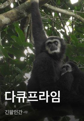 다큐프라임 - 긴팔인간