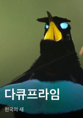 다큐프라임 - 천국의 새