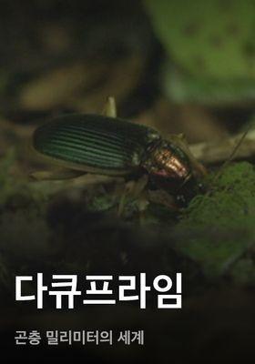다큐프라임 - 곤충 밀리미터의 세계