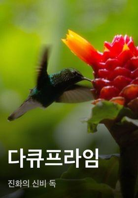 다큐프라임 - 진화의 신비 독