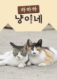 하하하 냥이네