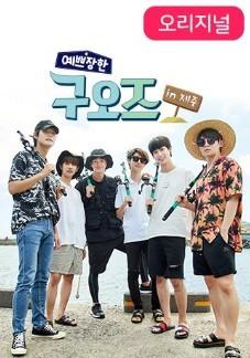 예쁘장한 구오즈 in 제주