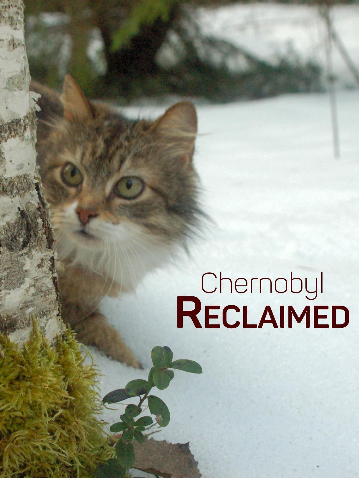 체르노빌 - 야생의 귀환