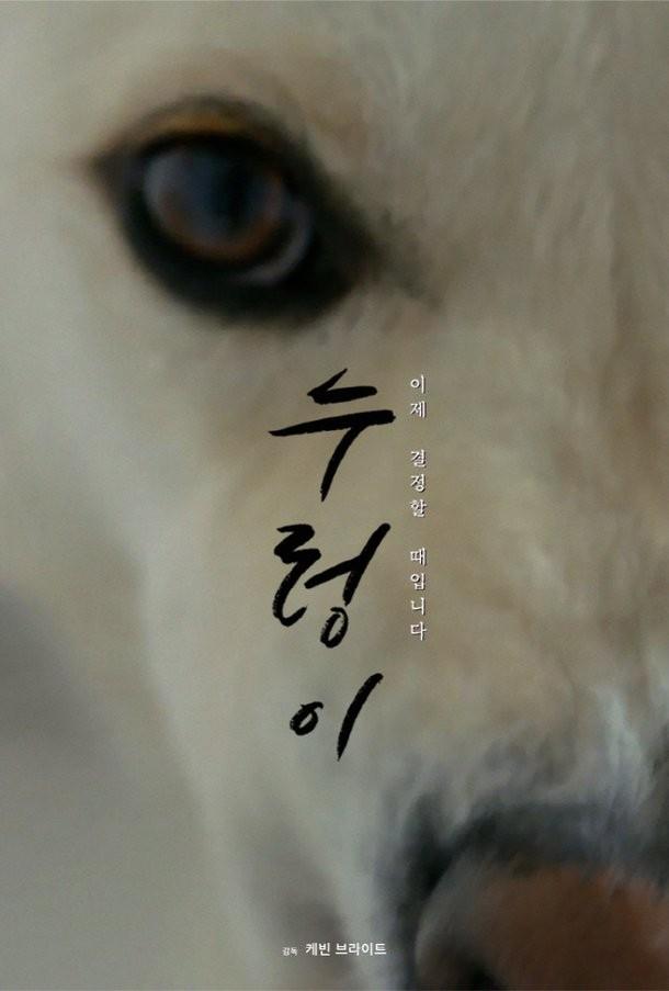 누렁이