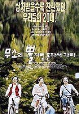 무소의 뿔처럼 혼자서 가라