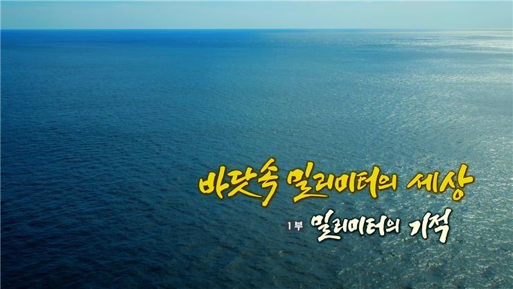 다큐프라임 - 바닷속 밀리미터의 세상