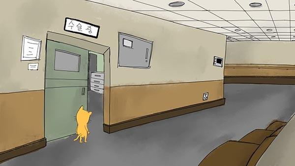 고양이(耳)발사