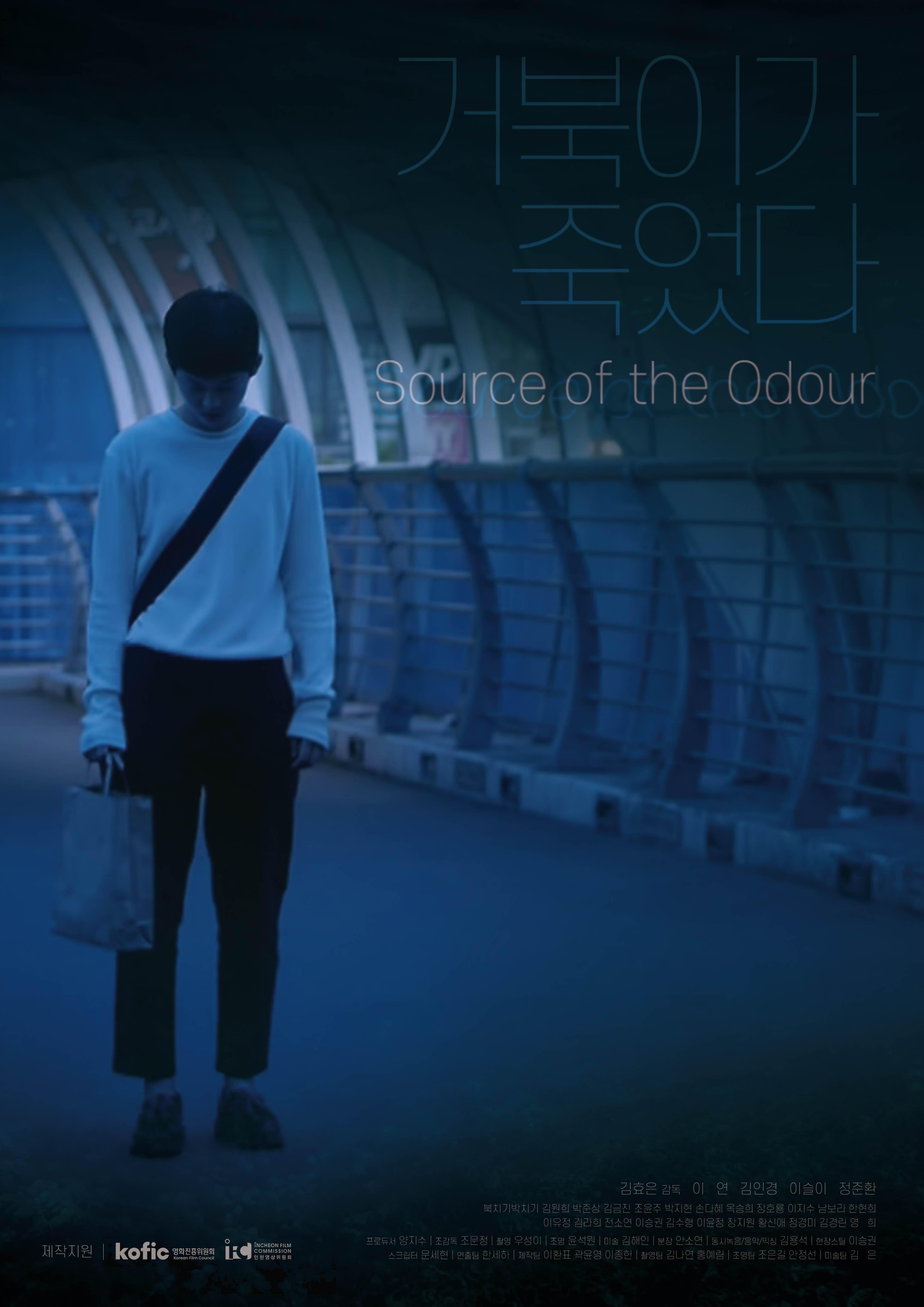 거북이가 죽었다