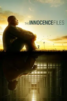 The Innocence Files Limited Series