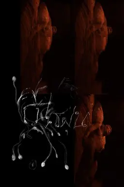 The Sound of Devouring Dust