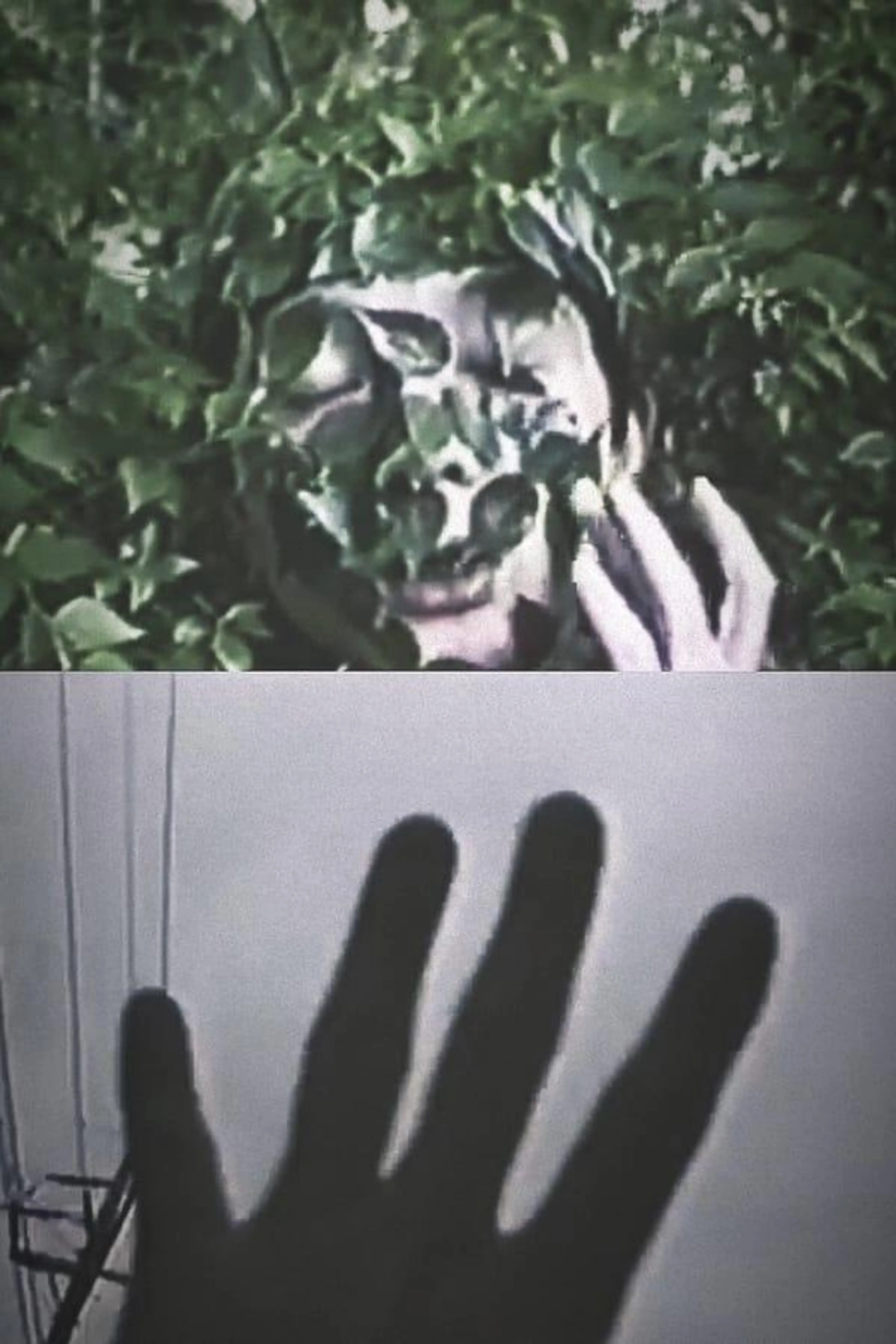 Emotional Gel Scenery