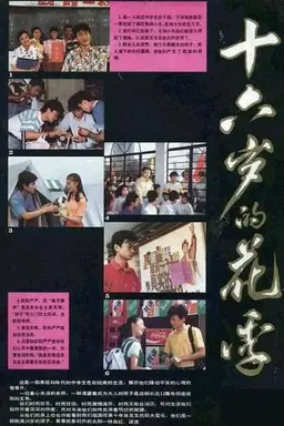 十六岁的花季 Season 1