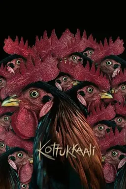 Kottukkaali