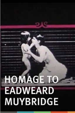 Homage to Eadward Muybridge