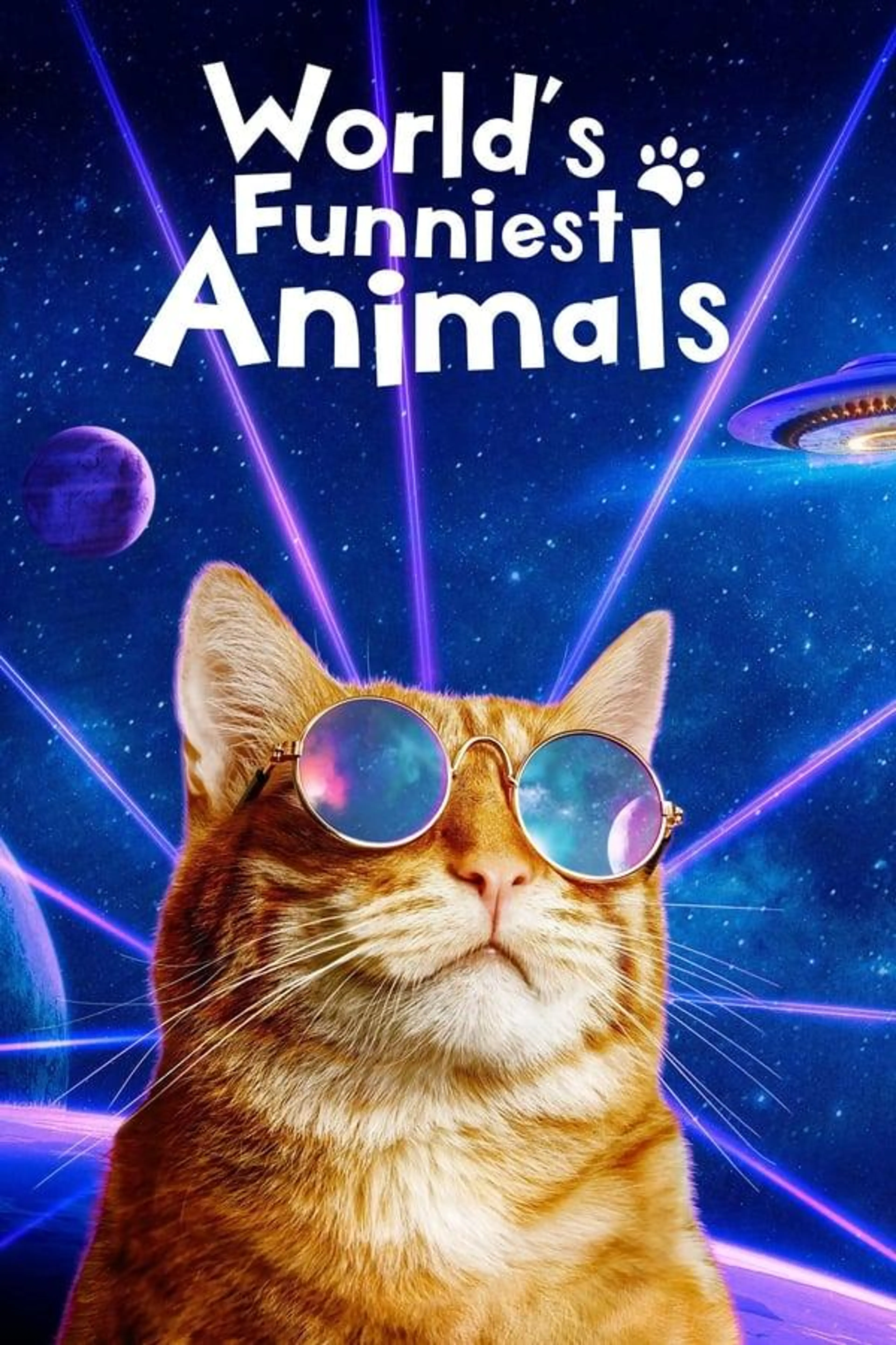 World's Funniest Animals Specials