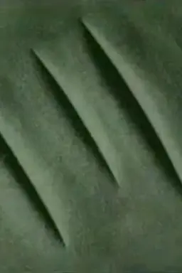 Footprint