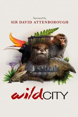 Wild City Season 1