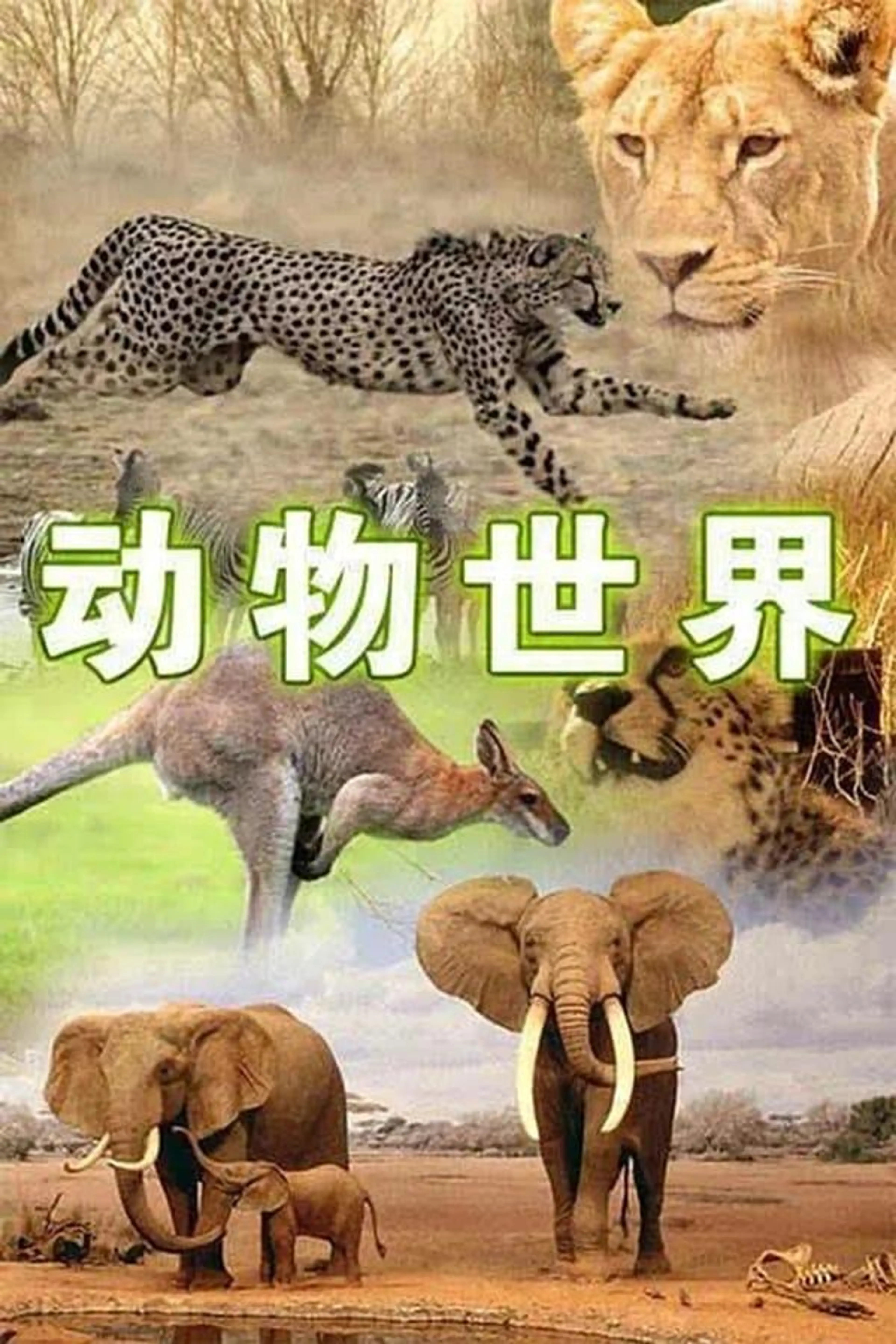 动物世界 Season 2