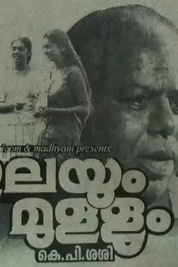 Ilayum Mullum