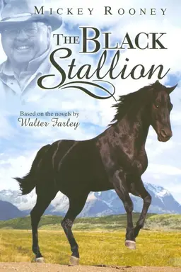 The Adventures of the Black Stallion Season 3