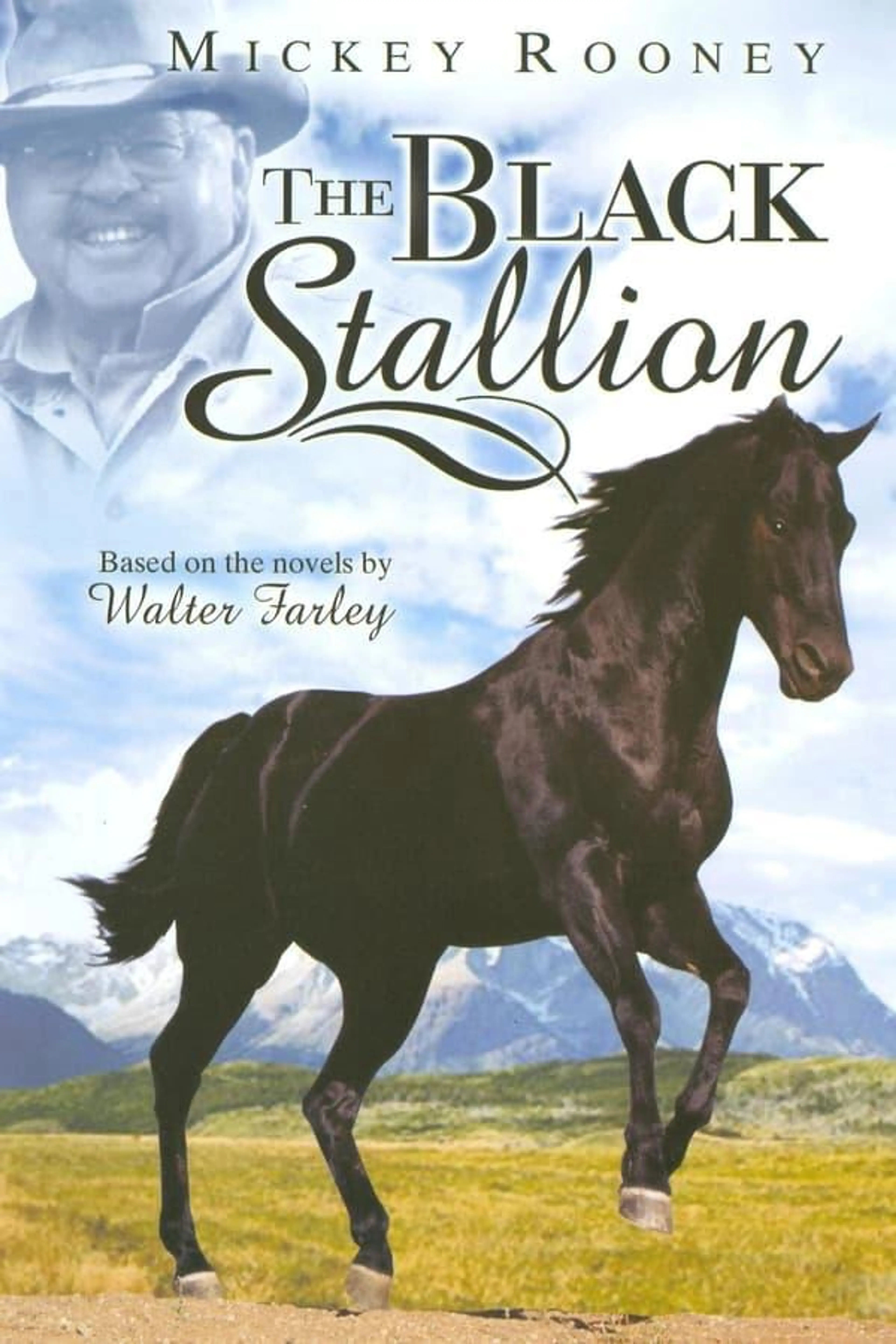 The Adventures of the Black Stallion Season 3