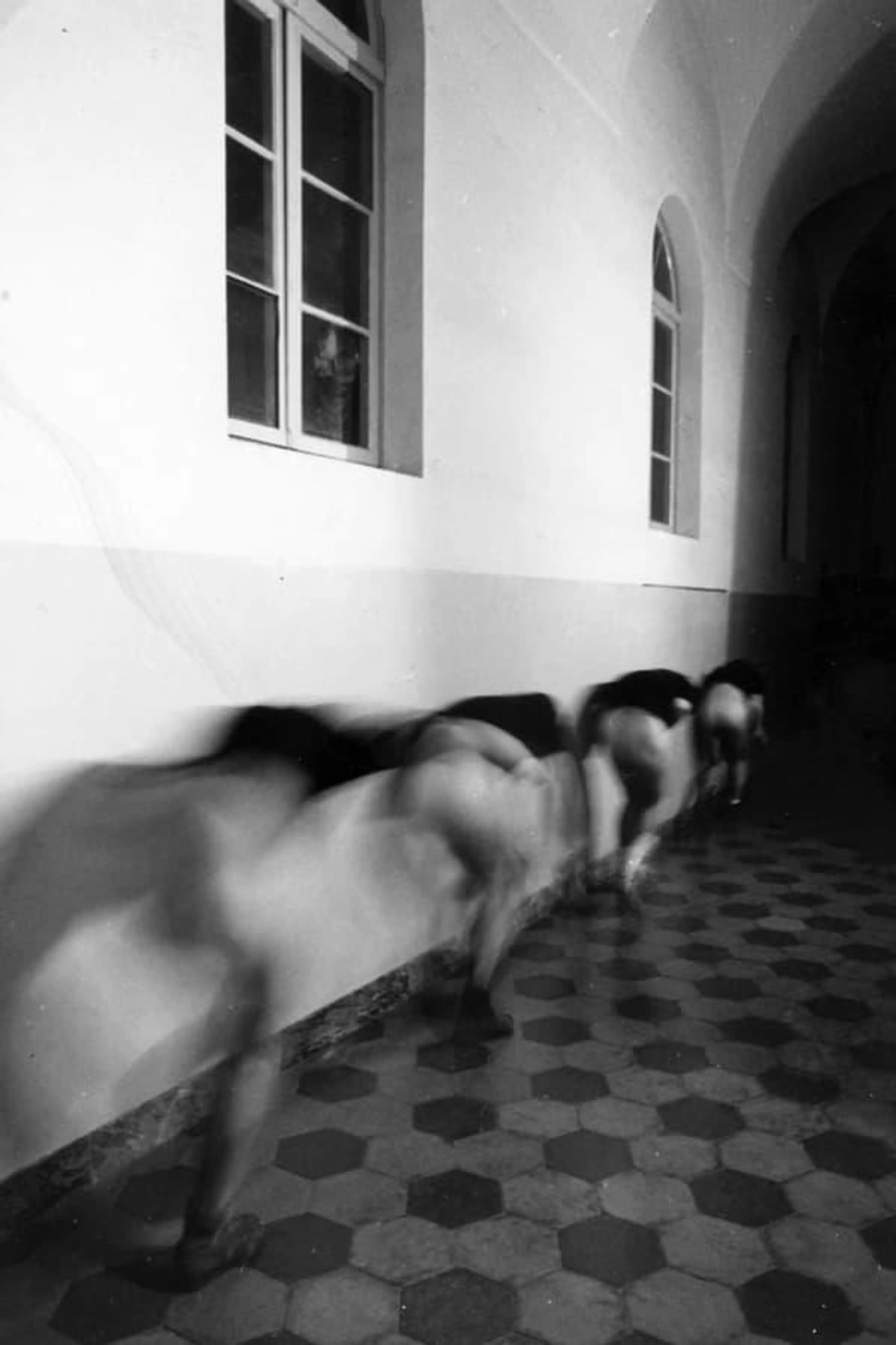 La divina provvidenza