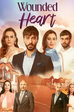 Wounded Heart Season 1