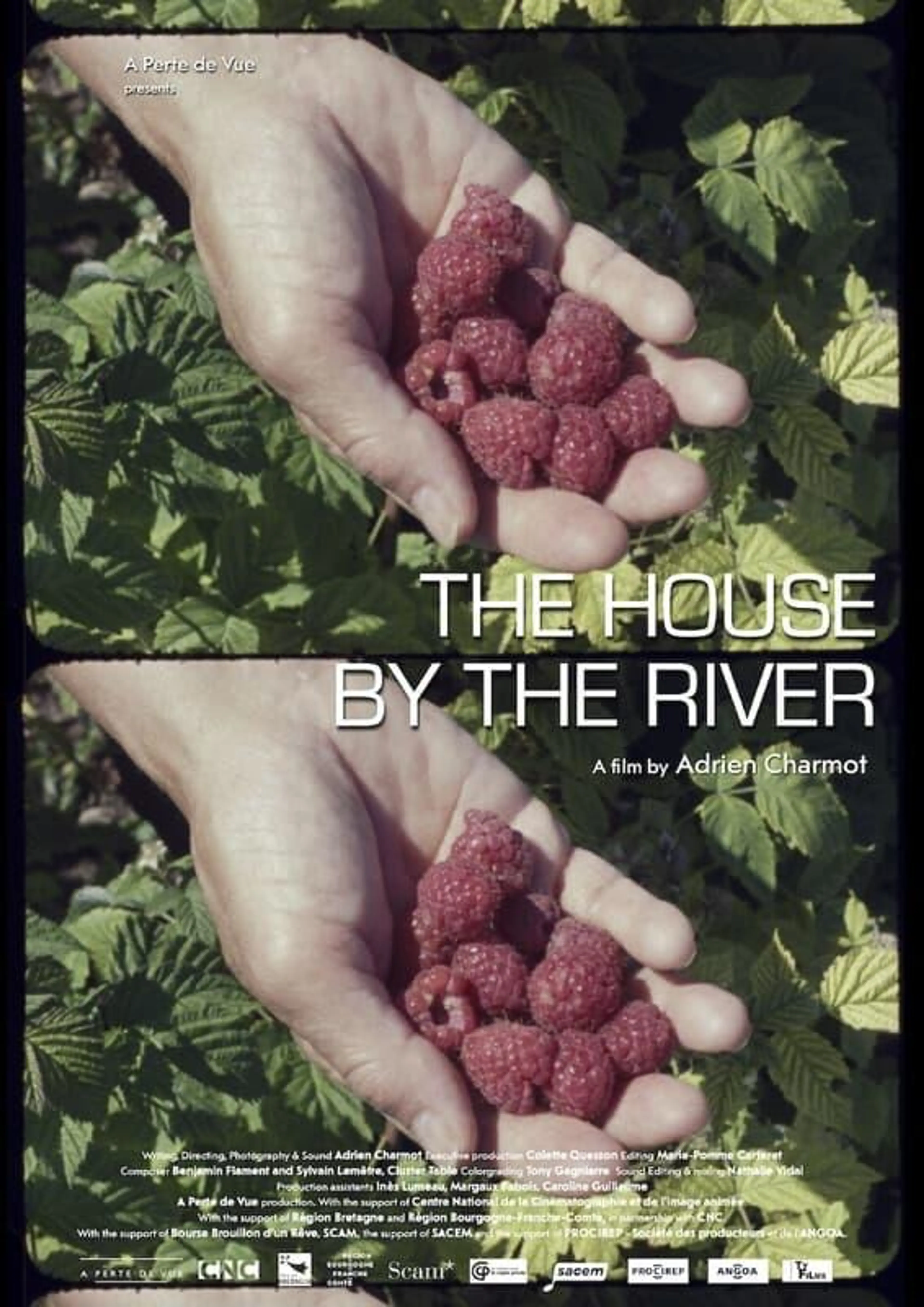 The House by the River