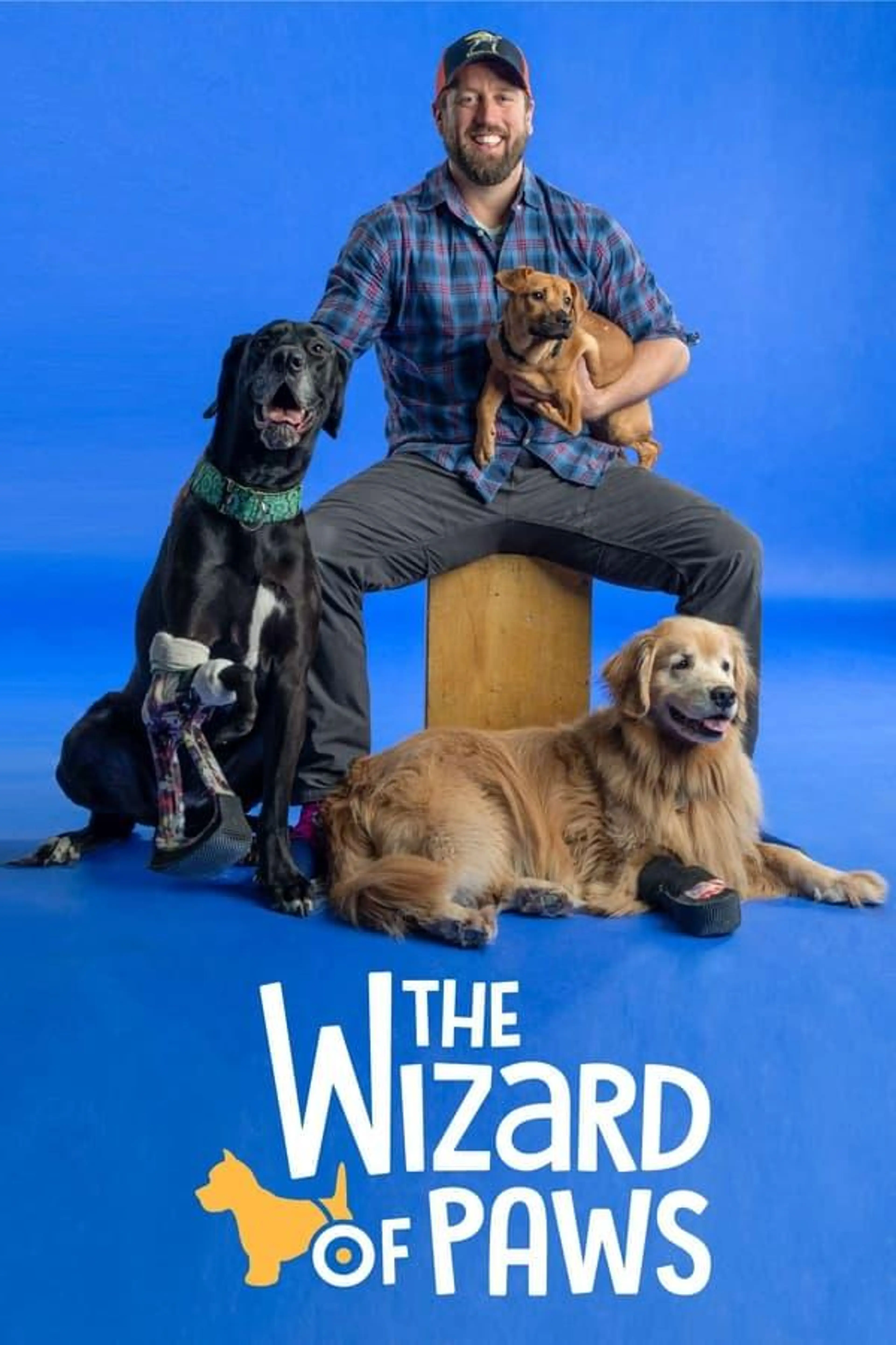 Wizard of Paws Season 2