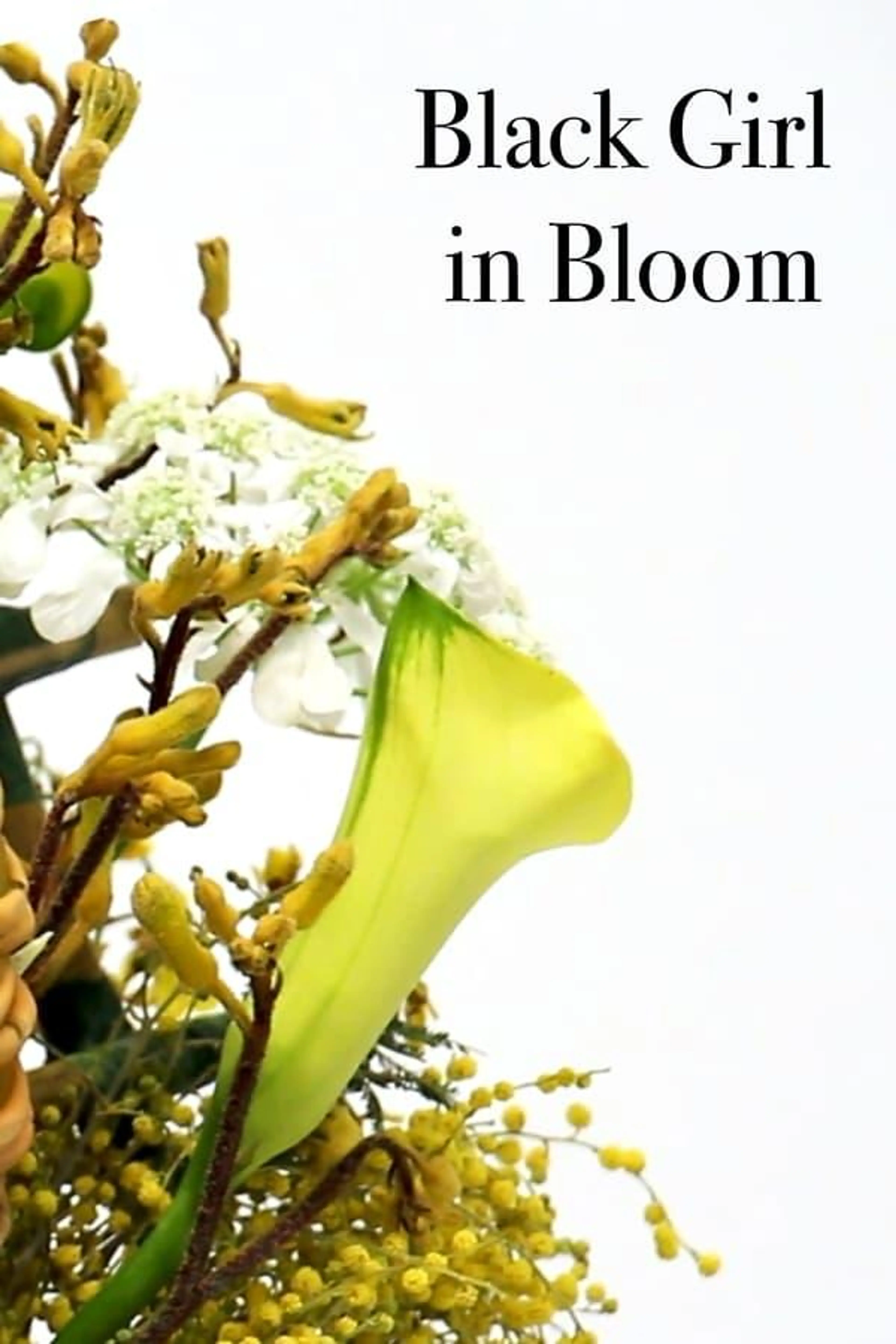Black Girl in Bloom