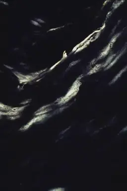 Painted Earth