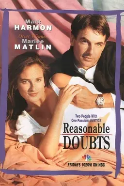 Reasonable Doubts Season 1