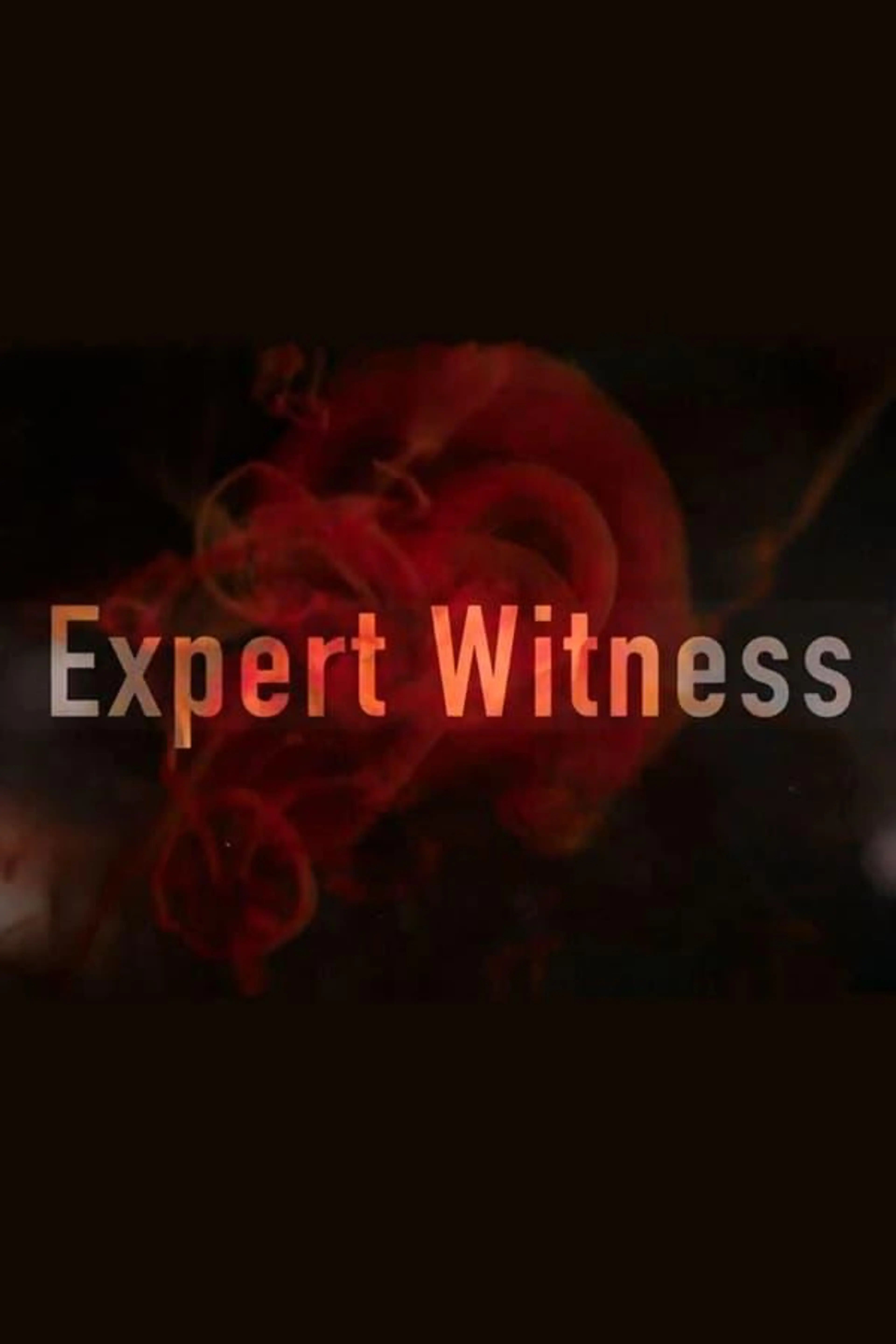 Expert Witness Season 2