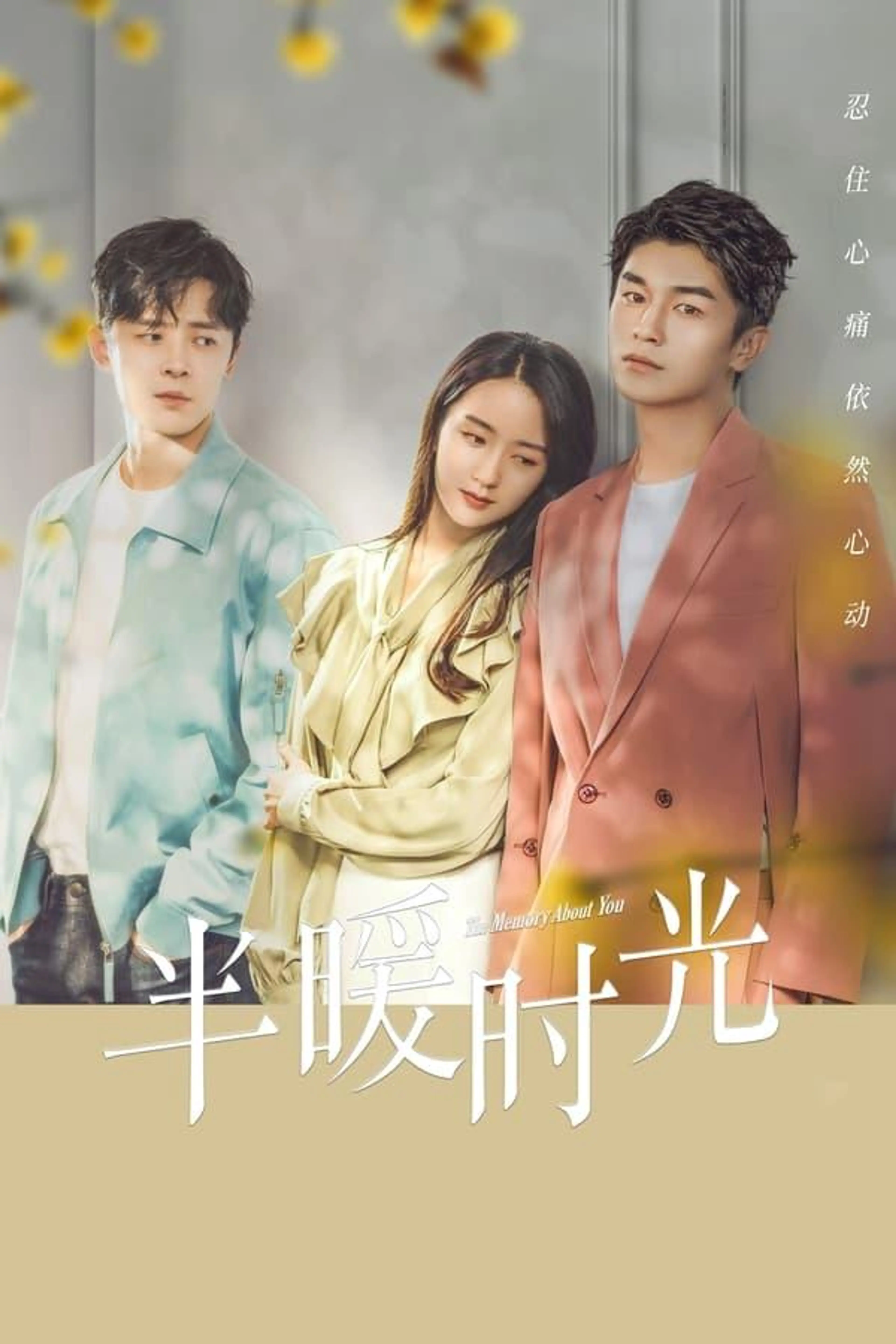 The Memory About You Season 1