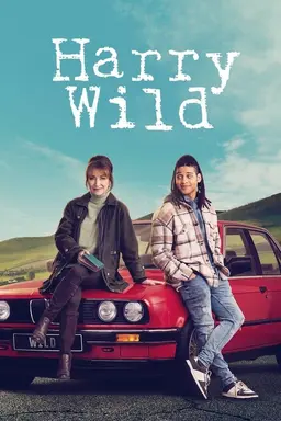 Harry Wild Season 1